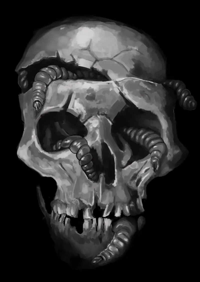Skull with Maggots