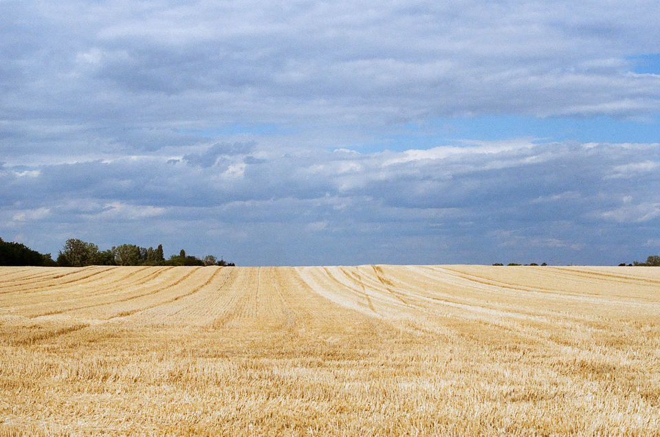 Between Paks and Budapest