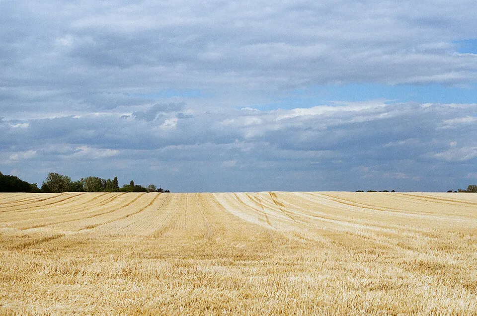 Between Paks and Budapest