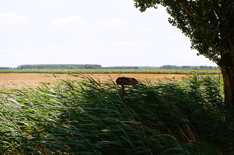 One of my favourite pictures from the series. I really like how grass and sign are pointing at different directions.